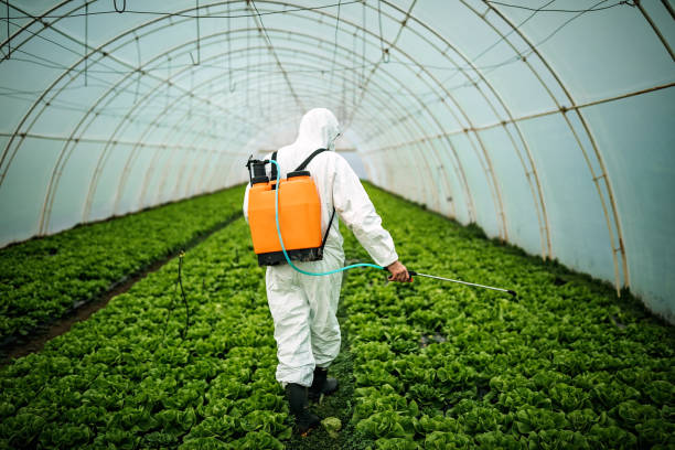 Best Affordable Pest Control Services  in Salina, OK