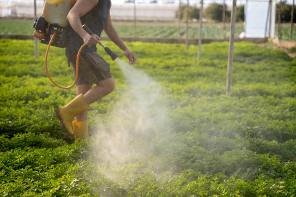 Best Pest Control for Restaurants  in Salina, OK