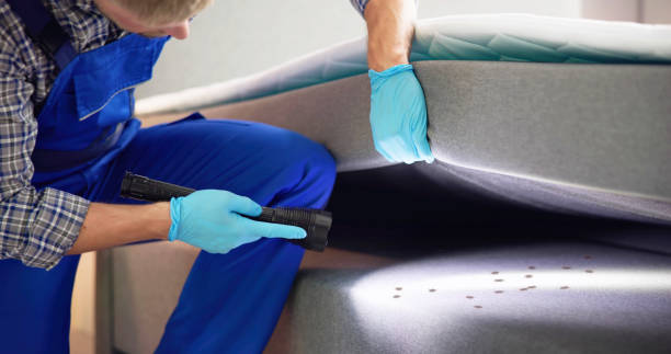 Best Flea Control Services  in Salina, OK