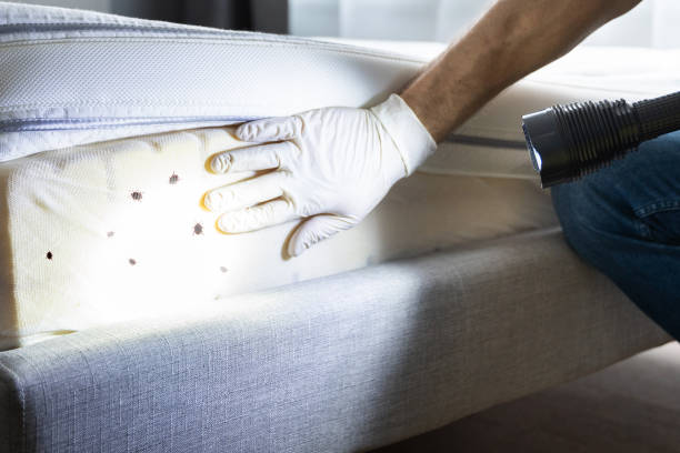 Best Bed Bug Extermination  in Salina, OK